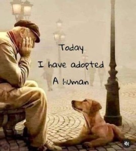 An older man is sitting on bend on a foggy street, his chin in his hand, looking down at a dog who is laying in front of him, looking back up at his face in adoration. Caption: Today I have adopted a human.