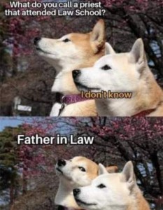2 frames showing two tan dogs. Top frame they are both looking ahead and one says to the other, "What do you call a priest that attended law school?" Second frame he answers his question, looking at the 2nd dog: "Father in Law"