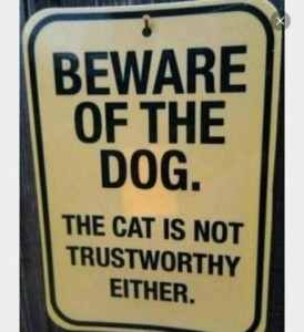 A BEWARE OF THE DOG sign; beneath are the smaller words, "the cat is not trustworthy either."