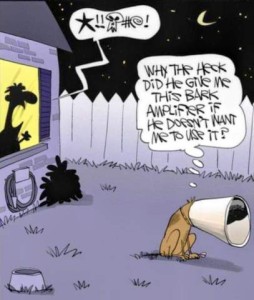 Cartoon showing a man inside the window of his house, at night, yelling obscenities outside at a dog. Dog is sitting in the yard, head hung down, wearing a cone, with the thought bubble, "Why the heck did he give me this bark amplifier if he doesn't want me to use it?"