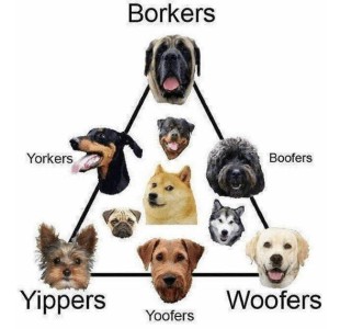 A pyramid of dog breeds from Borkers at the top Yippers and Woofers at the bottom corners, and Yorkers, Boofers, and Yoofers in between the others.