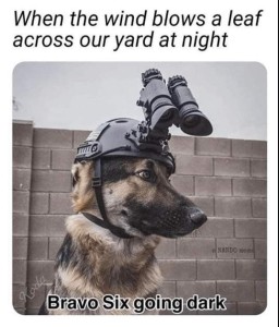 A german shepherd dog wearing military head gear with binoculars. Text: When the wind blows a leaf across our yard at night. BRAVO SIX GOING DARK