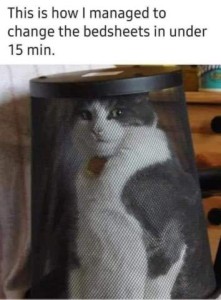 Photo of a gray and white cat sitting under and upside-down screen trash can. Caption: This is how I managed to change the bedsheets in under 15 minutes.