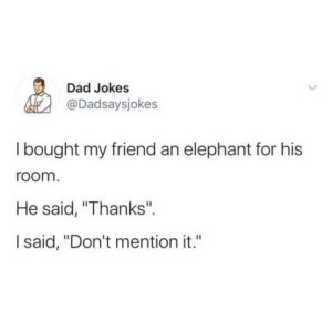 Dad Joke: I bought my friend an elephant for his room. He said, "Thanks." I said, "Don't mention it."