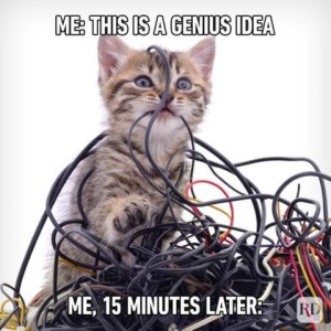 Me: This is a genius idea. Me, 15 minutes later: Photo of a tri-color kitten sitting in a tangle of wires.