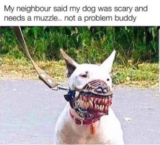 Photo of a white dog wearing a nasty looking skeletal mask-like muzzle showing lots of teeth. Text: My neighbour said my dog was scry and needs a muzzle...not a problem, buddy