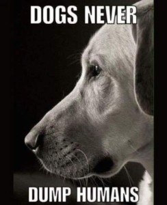 A close up profile view of a yellow lab in black in white. Caption: Dogs never dump humans.