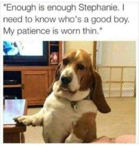 A basset hound is looking at the camera, one front paw on a coffee table, in a living room. Caption: "Enough is enough, Stephanie. I need to know who's a good boy. My patience is worn thin."