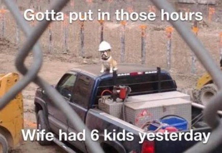 In a construction zone a bulldog is sitting atop the cab of a pickup truck with equipment filling the bed, wearing a hard hat. The photo is taken through a chain-link fence. Caption: Gotta put in those hours...wife had 6 kids yesterday.