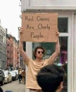 Man standing on a street corner holding a hand-made cardboard sign that says, "Red onions are clearly purple."