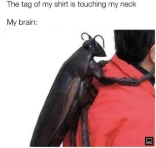 At the top it says, "The tag of my shirt is touching my neck." My brain: Picture of the back of a man in red shirt with a huge - a couple of feet long - black beetle on his back, its front legs reaching up on the sides of his neck.