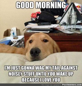 A golden retriever has his head resting on the edge of a bed, looking at the camera. Text: Good morning. I'm just gonna wag my tail against noisy stuff until you wake up because I love you.