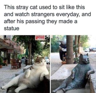 A photo of a mostly white cat sitting up like a person on a bench on the street with one arm on the back, watching everything going on; 2nd photo is a likeness of a cat on the same bench in the same position. Caption: This stray cat used to sit like this and watch strangers everyday, and after his passing they made a statue.