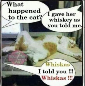 Photo of an orange and white cat sprawled out on his back on the floor. Conversation happening off camera: "What happened to the cat?" "I gave her whiskey as you told me." "Whiskas, I told you!!! WHISKAS!!!"