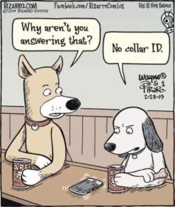 Cartoon. Two dogs in a bar, cans of "ARF" in front of them. One dog is looking at his cell phone that appears to be ringing as it sits in front of him. The other dog says, "Why aren't you answering that?" First dog replies, "No collar (c-o-l-l-a-r) ID."