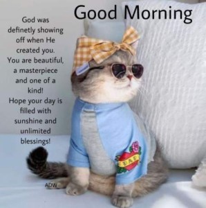 Photo of a gray and white cat sitting in front of a white pillow. She is wearing a tan and white checked scarf around her head with a bow in the front, and a blue and gray shirt with a pink heart and rose applique on the left sleeve. Caption: God was definitely showing off when He created you. You are beautiful, a masterpiece and one of a kind! Hope your day is filled with sunshine and unlimited blessings!