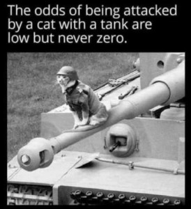 Black and white photo of a cat wearing a flak vest and helmet, sitting on the cannon on the front of a tank. Caption: The odds of being attacked bya cat with a tank are low but never zero.