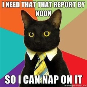 Picture of a black cat wearing a white collar and a striped tie. Caption: I need that report by noon so I can nap on it.