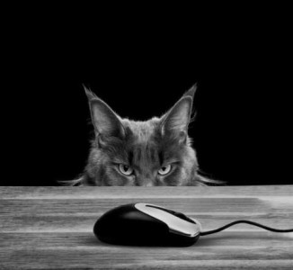 Just the slanted, glaring eyes and ears of the cat in this photo are showing over the edge of a table, which is empty except for a computer mouse directly in front of him.