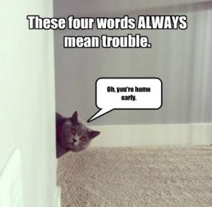 A gray cat with a gray curtain behind it with a gray carpet on the floor, looking around a corner, saying, "Oh, you're home early." Caption: These four words ALWAYS mean trouble."