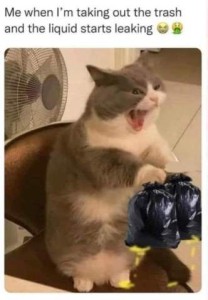 A photo of a gray and white cat sitting up on a chair, photoshopped to look like he's holding two cat-sized black full plastic bags. His eyes are squinting and his mouth wide open. Caption: Me when I'm taking out the trash and the liquid s starts leaking.