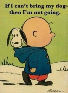 Charlie Brown with Snoopy in the hood of his jacket in back. He is walking from the left side to the right side. Caption: If I can't bring my dog then I'm not going.