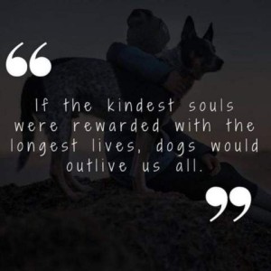 A dark shadow of a woman sitting on the ground with her arm around her dog. Caption: "If the kindest souls were rewarded with the longest lives, dogs would outlive us all."