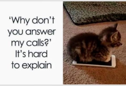 A tiny kitten is sitting on a smartphone. Caption: "Why don't you answer my calls?" "It's hard to explain."