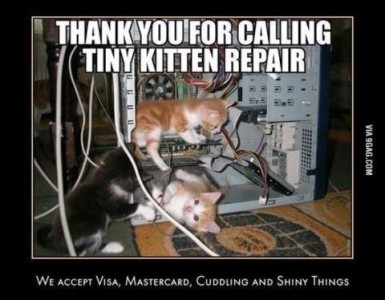 4 tiny kittens playing inside a computer case. Caption: Thank you for calling tiny kitten repair. We accept Visa, Mastercard, Cuddling, and Shiny Things.