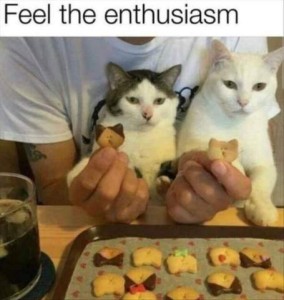 Photo of a white can, and a white cat with gray ears, sitting on a man's lap looking totally bored as he is holding up some cat-head-shaped cookies he baked; one is light colored and plain, the other is light colored with dark ears. Caption: Feel the enthusiasm