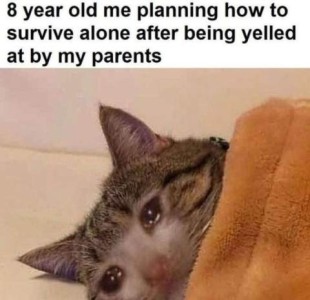 A closeup of the face of a gray tabby cat laying on his side with a blanket pulled up to his neck; his eyes are watering heavily. Caption: 8-year-old me planning how to survive alone after being yelled at by my parents.