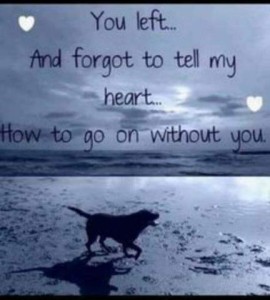 A dark gray moonlit beach with a black dog walking across it; there are a lot of dog prints in the sand all around. Caption: You left...And forgot to tell my heart...how to go on without you.