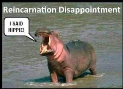 Title: Reincarnation Disappointment Photo of a hippopotamus standing in the water, head back and mouth wide open, saying, "I SAID HIPPIE!"