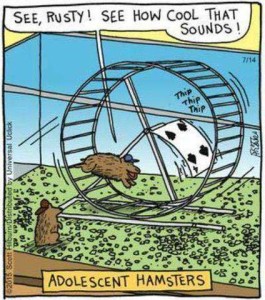 Cartoon of 2 hamsters in a cage, entitled Adolescent Hamsters; they are wearing baseball-type caps, one has his on backwards. One of them is running on a hamster wheel that has a playing card attached to it and the words Thip Thip Thip next to the card. The hamster in the wheel is saying to his friend, "See Rusty! See how cool that sounds!"