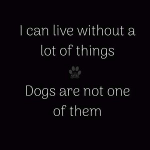 Text only I can live without a lot of things. Dogs are not one of them.