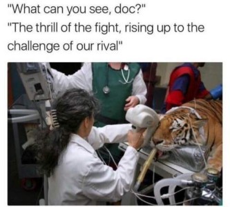 A photo of a veterinarian with a tiger on her table, under anesthesia; the vet is using a scanner of some sort to look into its right eye; there are support staff monitoring in the background. Caption: "What can you see, doc?" "The thrill of the fight, rising up to the challenge of our rival."