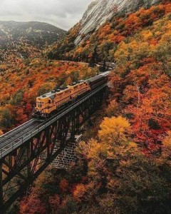 Photo of a train approaching across a high trestle in the mountains; all around are brilliant fall colors; the sky is cloudy and gray.