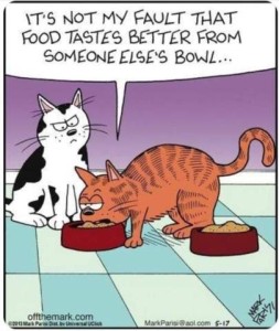 cartoon with 2 cats and 2 food bowls. One cat is eating out of the other cat's bowl, while the other cat watches. As he's eating the first cat is saying, "It's not my fault that food tasted better from someone else's bowl..."