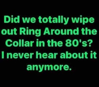 text only: Did we totally wipe out Ring Around The Collar in the 80's? I never hear about it anymore.