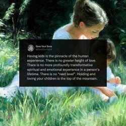 Screenshot of a social media post from Save Your Sons: Having kids is the pinnacle of the human experience. There is no greater height of love. There is no more profoundly transformative spiritual and emotional experience in a person's lifetime. There is no "next level". Holding and loving your children is the top of the mountain.