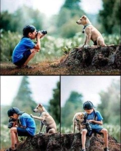 3 photos: a boy with a camera taking a photo of a small tan dog that is sitting on a stump...the boy sitting on the stump, looking at the screen at the back of the camera, as the dog, sitting behind him, reaches up to touch his back with his paw...lastly the dog is sitting next to the boy and the boy is showing the dog the screen.