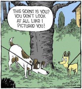 Cartoon of 2 dogs meeting at the base of a tree, both on leashes. One dog is saying to the other, "This scent is you? You don't look at all like I pictured you!"