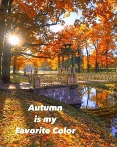 Photo of brilliant autumn leaves in trees and across the ground, with a mirror-like river running up the middle and a little waking bridge crossing the center of the photo; the sun is shining brightly through the leaves of a tree on the left and the entire scene is bright and sunny.