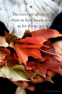 photo of hands holding dried bright autumn leaves; in the background is her white sweater. The text is "The trees are about to tell us how lovely it is to let things go."
