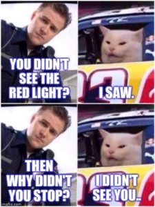 2 frames: Top shows a policeman asking a white cat, "You didn't see the red light?" to which the cat, sitting in a race car as if driving, replies, "I saw" Bottom frame officer asks, "Then why didn't you stop?" Cat responds, "I didn't see YOU!"