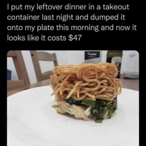 Photo of a piece of white meat, with some greens on top, and spaghetti on top of that, piled neatly in a circle as if out of a mold. Caption: I put my leftover dinner in a takeout container last night and dumped it onto my plate this morning and now it looks like it costs $47.