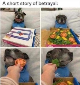 Title: A short story of betrayal. 4 frames of a gray pitbull laying back against a pillow. In the first frame he has a Domino's pizza box in front of him and he has a happy look on his face. In #2 the box is open and full of salad and he has a serious look; in #3 someone is holding a tomato up to his mouth and he's turning his head away to his right; in #4 someone is holding a piece of lettuce up to his face and he's turning his head to his left.