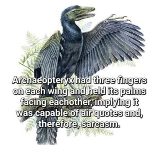 Drawing of a prehistoric bird. Caption: Archaeopteryx had 3 fingers on each wing and held its palms facing each other, implying it was capable of air quotes and, therefore, sarcasm.