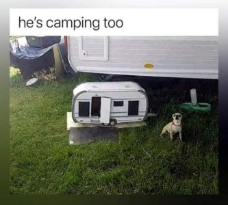 Next to an RV is a tiny travel trailer with a chihuahua sitting next to it. Caption: He's camping too.