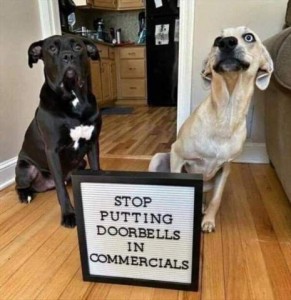 A black dog and a tan dog with a bright blue eye are sitting and looking up behind the camera. A sign is sitting on the floor in front of them that says, "Stop putting doorbells in commercials"
